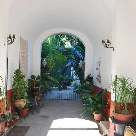 Casa Immersa Nel Al Centro Di Palermo