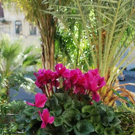 Casa Immersa Nel Al Centro Di *